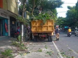 Screenshot_20240606-112521_WhatsApp