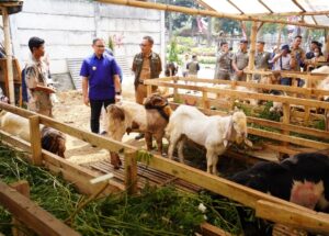 Screenshot_20240612-070541_WhatsApp