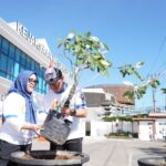 Screenshot_20240719-131405_WhatsApp