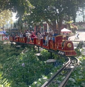 Selecta kereta.jpeg2