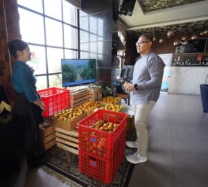 Screenshot_20240922-092841_WhatsApp