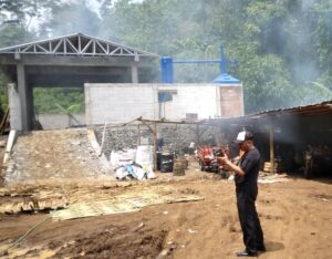 Screenshot_20241220-152540_Gallery