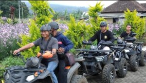 Screenshot_20241222-183325_Gallery