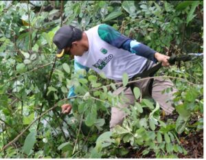 Screenshot_2025-01-08-05-26-45-227_com.mi.globalbrowser-edit