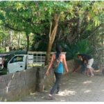 Screenshot_2025-07-13-17-38-17-900_com.android.chrome-edit