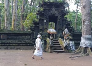 Screenshot_2025-07-19-11-07-19-747_com.android.chrome-edit