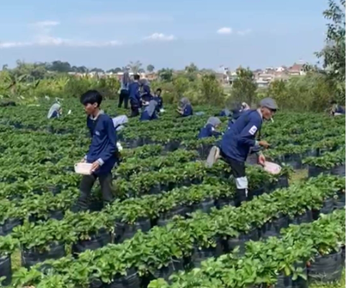 Screenshot_2025-07-27-22-16-33-261_com.android.chrome-edit