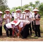 Screenshot_2025-08-07-20-47-56-627_com.android.chrome-edit