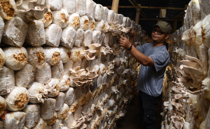 Screenshot_2025-08-27-20-43-26-805_com.android.chrome-edit