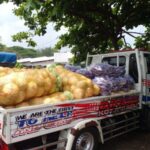 Tagana Kota Batu Salurkan 2 Ton Sayur untuk Bantu Korban Bencana di Ponpes Al-Khoziny Sidoarjo Screenshot_2025-09-30-15-10-49-703_com.android.chrome-edit