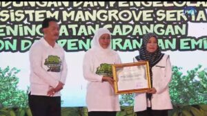 Screenshot_2025-11-03-17-19-04-975_com.miui.gallery-edit