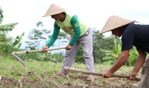 Screenshot_2025-11-28-16-14-36-265_com.whatsapp-edit