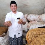 KENTANG