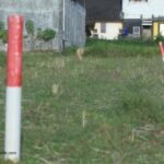 Tanah Rawan Diserobot! ATR/BPN Ingatkan Warga Perkuat Batas dan Sertipikat