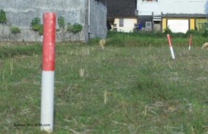 Screenshot_2026-04-29-16-38-51-919_com.whatsapp-edit