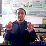 Dua Kader Coosae Batu Lolos Young Ambassador Agriculture 2026, Harumkan Nama Kota Batu