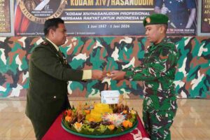 KODAM_11zon