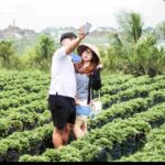 Demi Menjaga Senyum Wisatawan, Lumbung Strawberry Pandanrejo Rela Batasi Reservasi