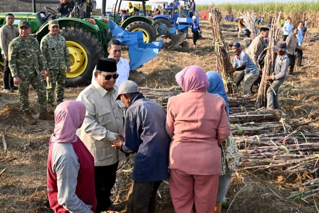 PRESIDEN PANEN TEBU