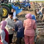 Presiden Prabowo Panen Raya Tebu di Malang, Serap Aspirasi Petani untuk Perkuat Ketahanan Pangan PRESIDEN PANEN TEBU