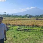 DPRD Batu Pasang Rem Alih Fungsi Lahan, Perda LP2B Disiapkan Lindungi 429 Hektare Sawah Screenshot_2026-07-21-13-37-46-486_com.miui.gallery-edit