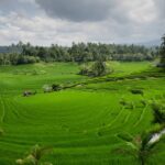 LP2B Nasional Tembus 87,63 Persen, Menteri Nusron Desak Pemda Percepat Integrasi ke RTR
